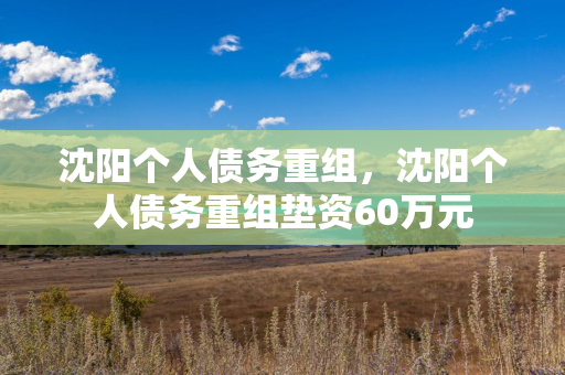 白山个人债务重组，白山个人债务重组垫资60万元