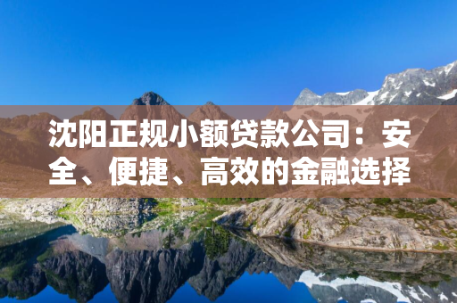 白山正规小额贷款公司：安全、便捷、高效的金融选择