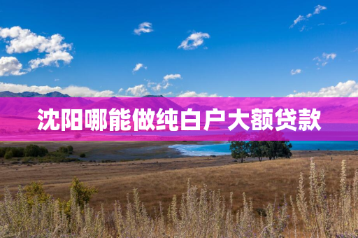 白山哪能做纯白户大额贷款