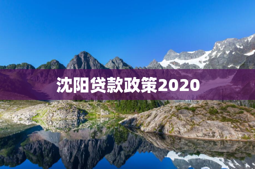 白山贷款政策2020