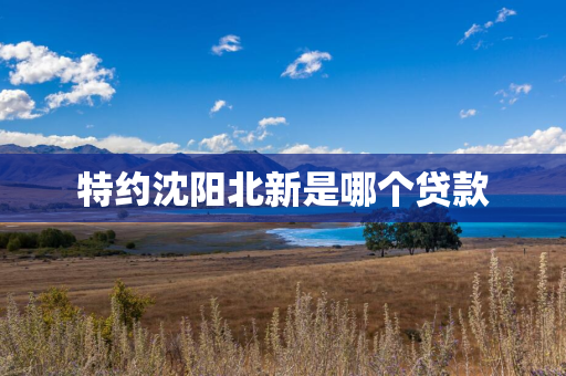 特约白山北新是哪个贷款