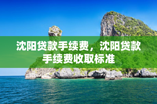 白山贷款手续费，白山贷款手续费收取标准